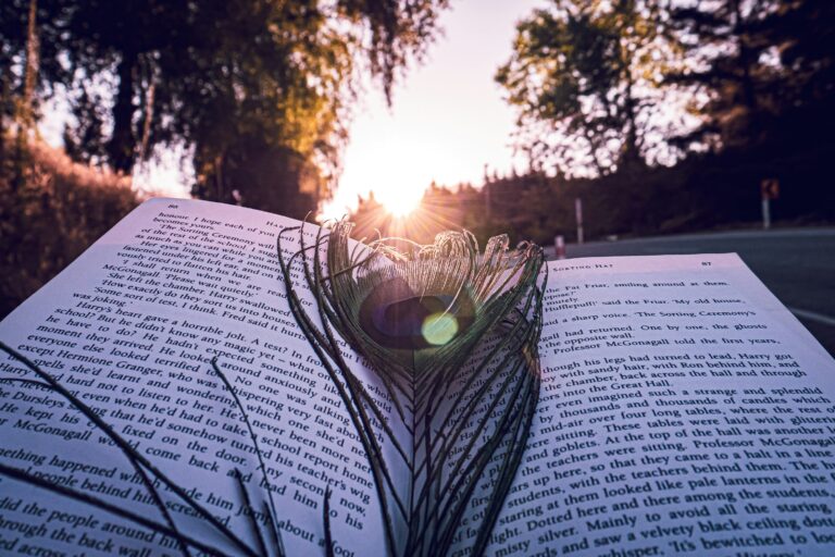 why learning languages is essential