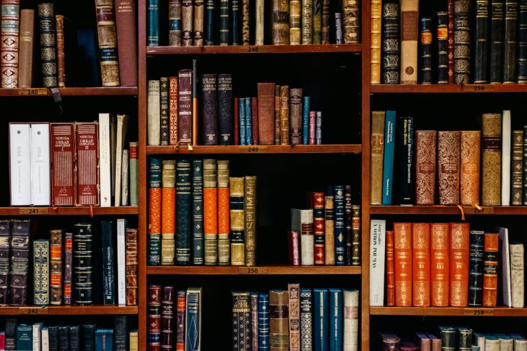 The best languages for self-development